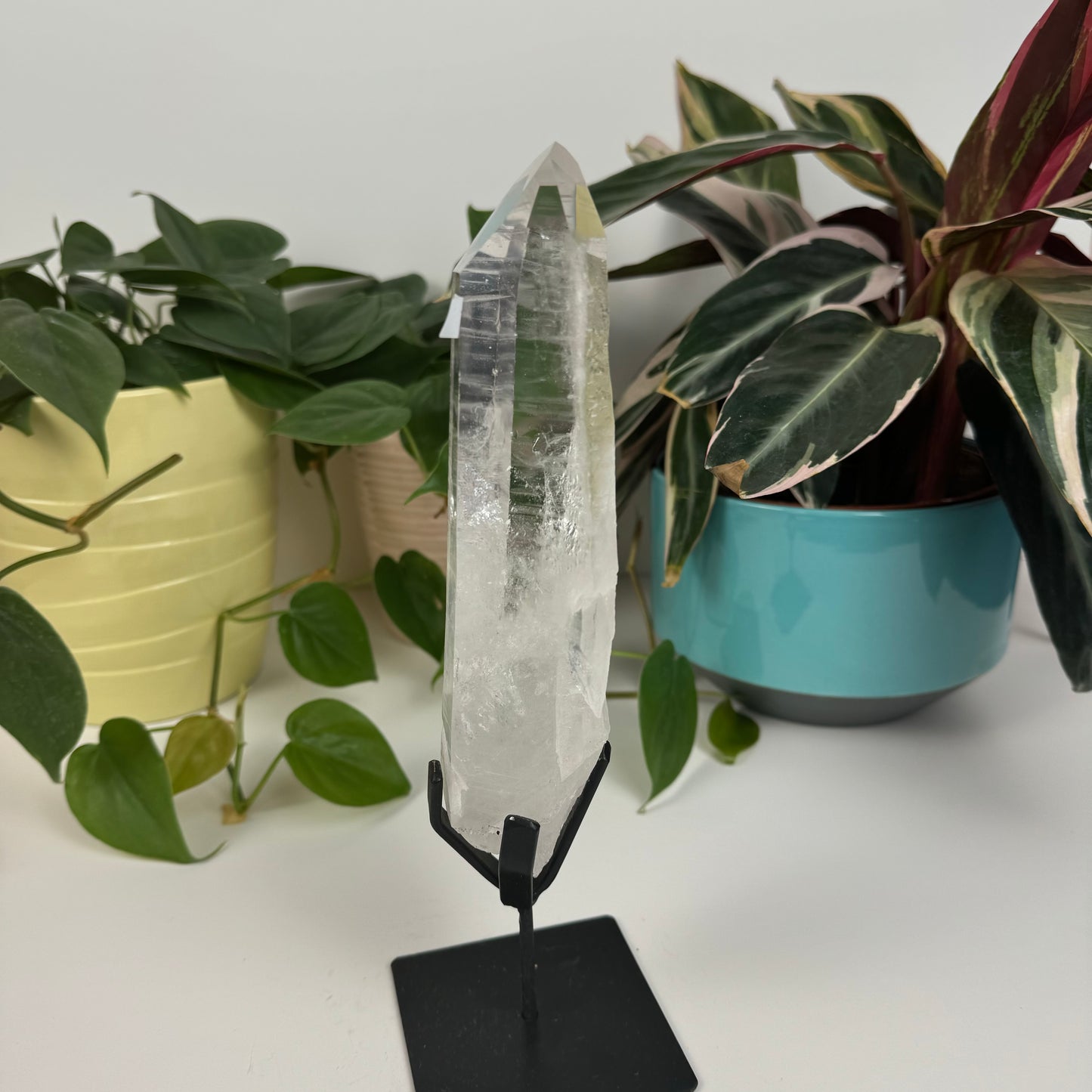 Incredible Lemurian Quartz (W/ Custom Stand) - T