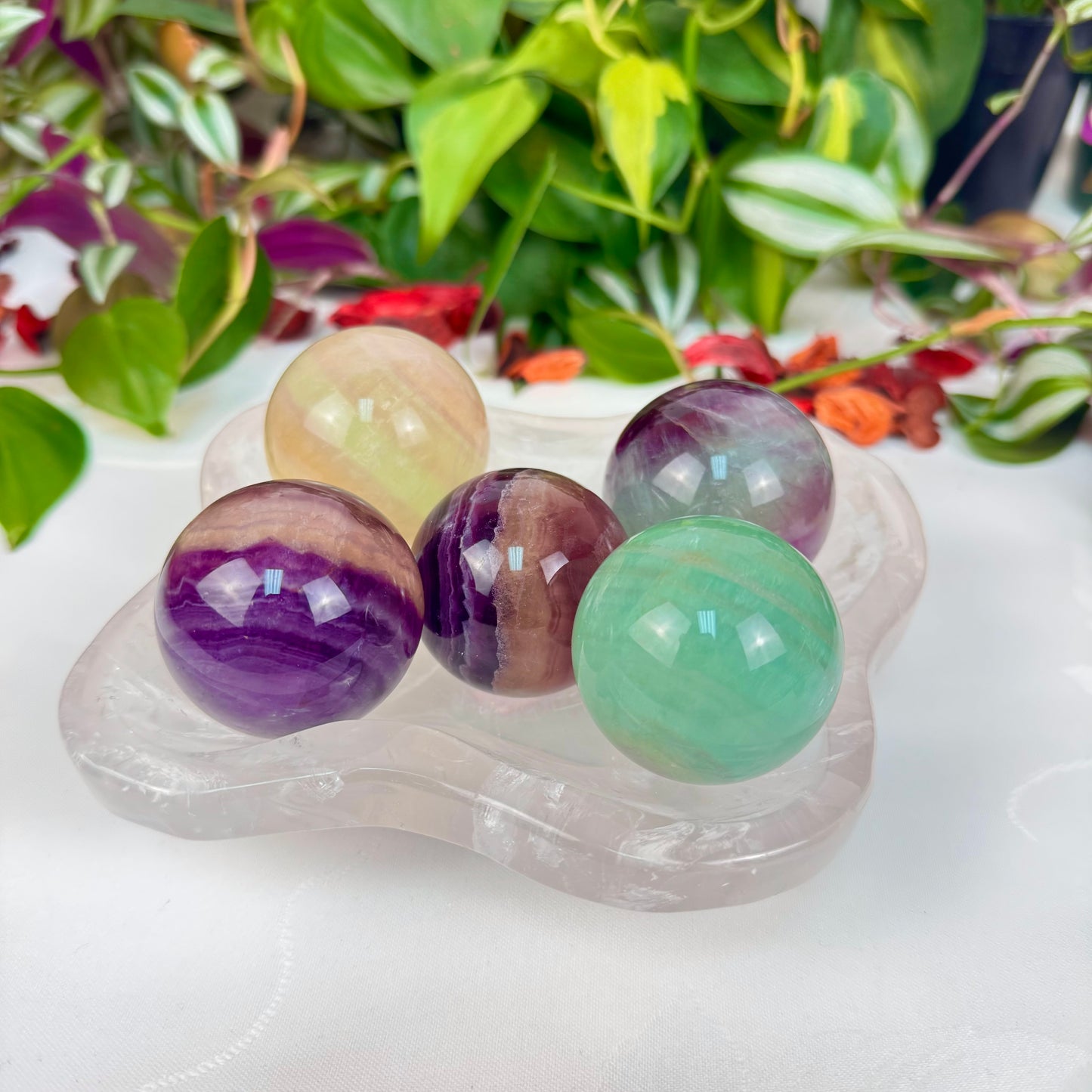 Candy Fluorite Sphere