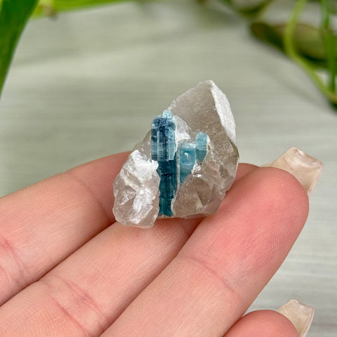 Indicolite Tourmaline Specimen