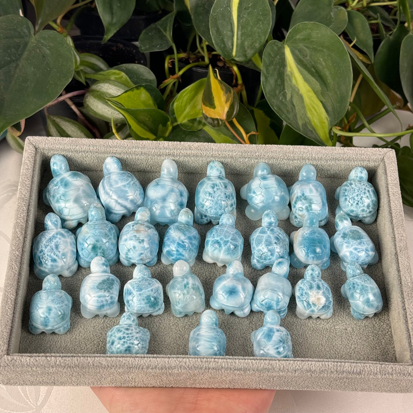 Mini Larimar Turtle