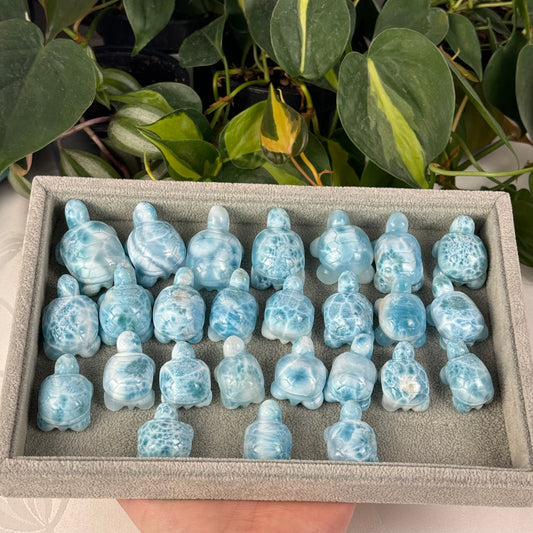 Mini Larimar Turtle