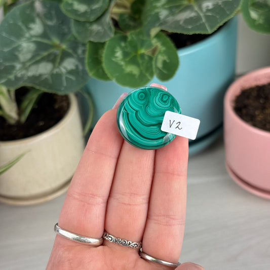 Malachite Cookie - V2