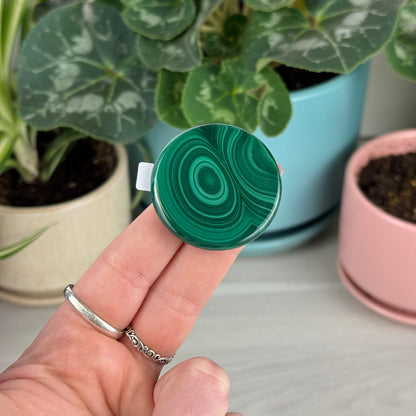 Malachite Cookie - L2