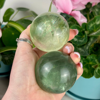 Green Grape Fluorite Sphere