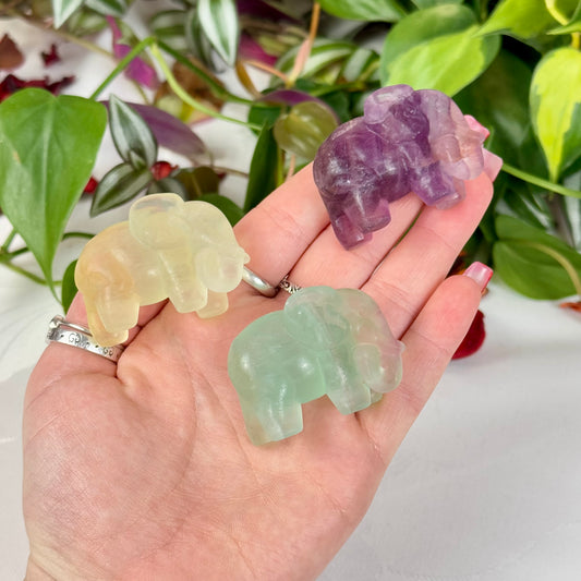 Candy Fluorite Elephant