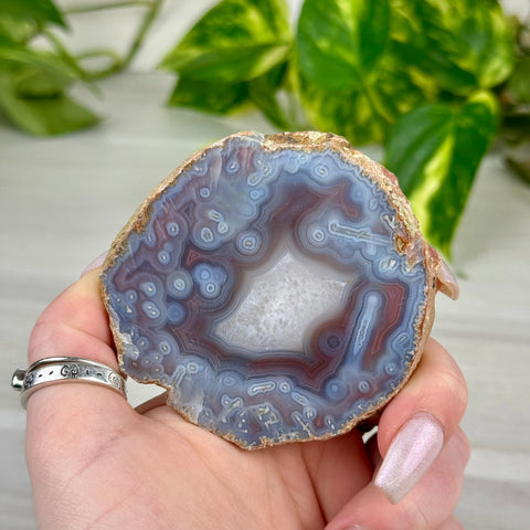 Swazi Rose Agate Slice