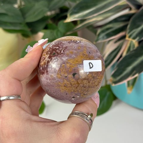 Sea Jasper Sphere - D1