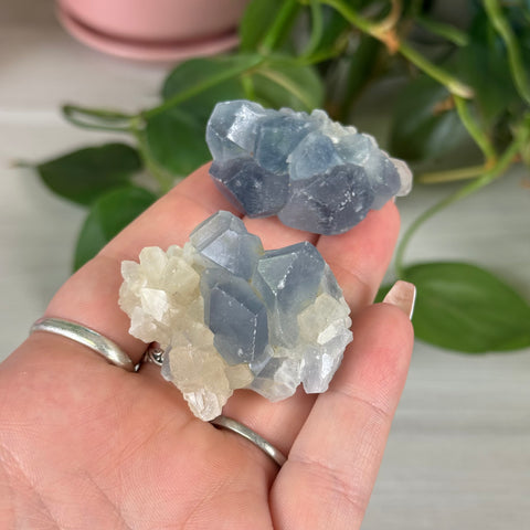 Celestite With Calcite Specimen