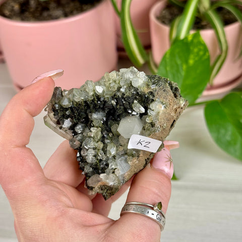 Black Epidote & Chlorite Quartz Specimen (Forest Quartz)