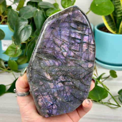 Intuitively Picked Labradorite Free Form