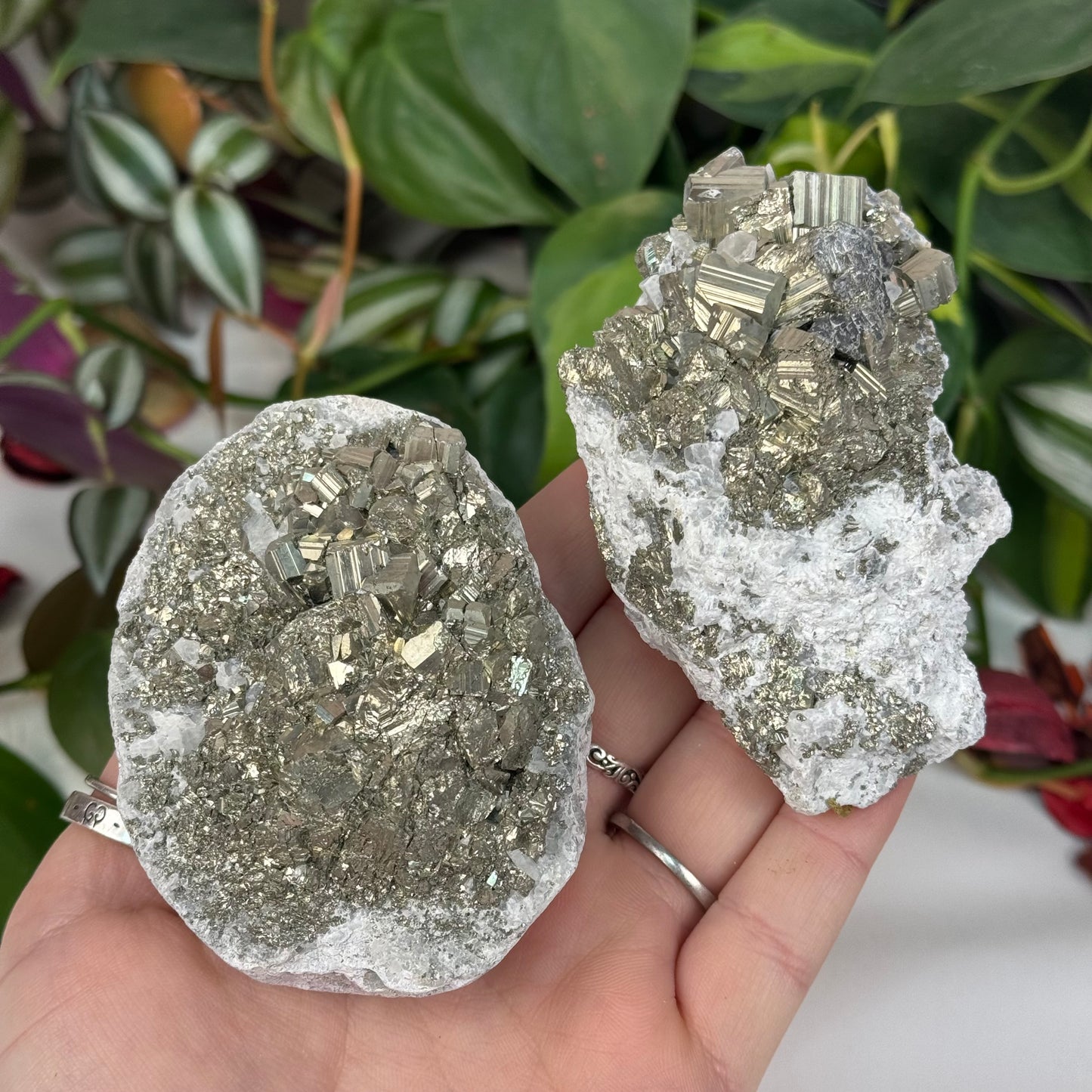 Pyrite In Quartz Specimen