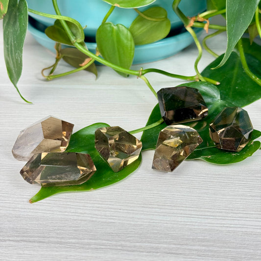 Smoky Quartz Gusher