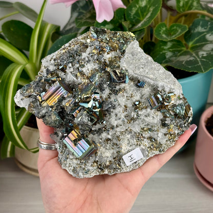 Iridescent Pyrite Specimen