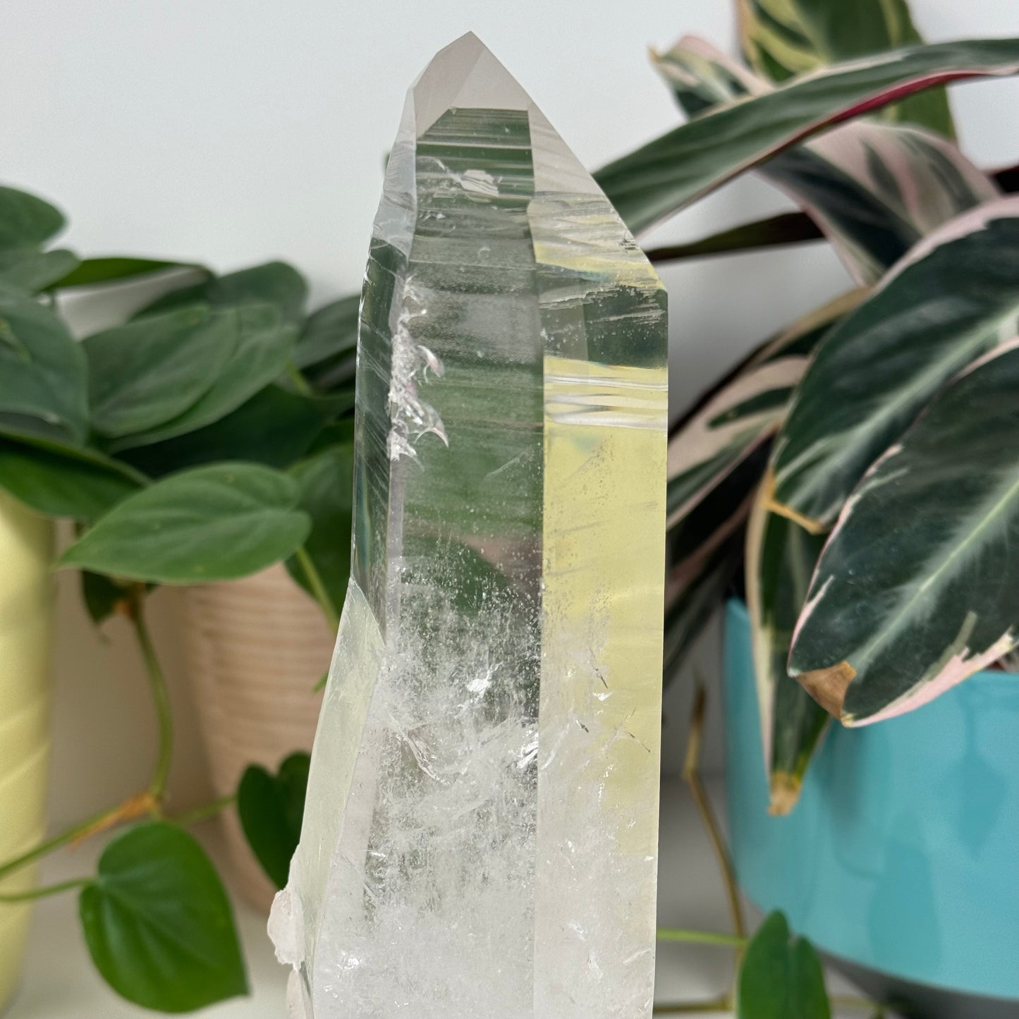 Incredible Lemurian Quartz (W/ Custom Stand) - E