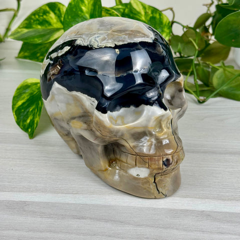 Volcano Agate Skull (UV Reactive)