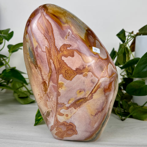 XL Polychrome Jasper Free Form
