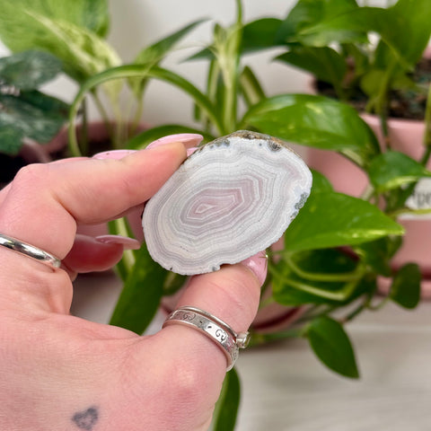 Indi Czechia Agate