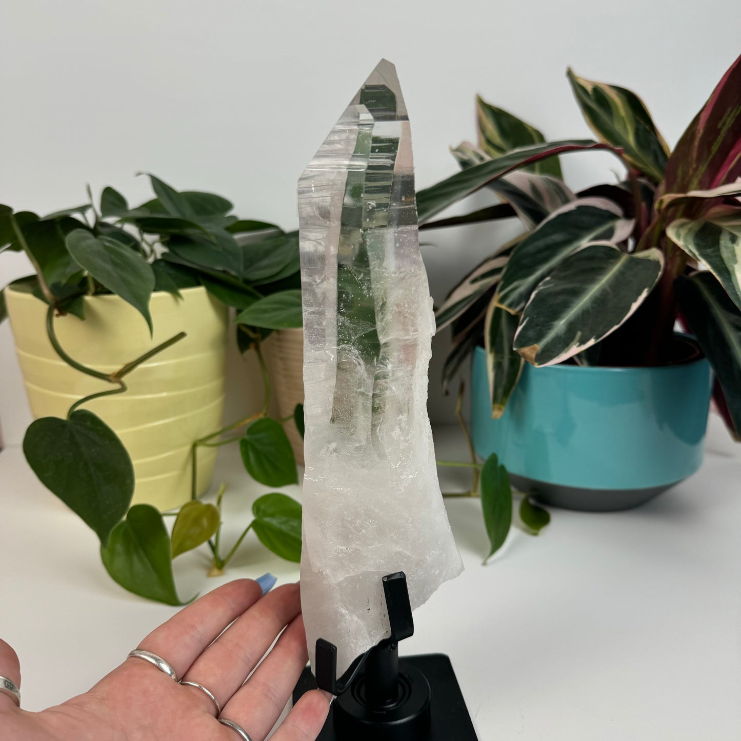 Incredible Lemurian Quartz (W/ Custom Stand) - G