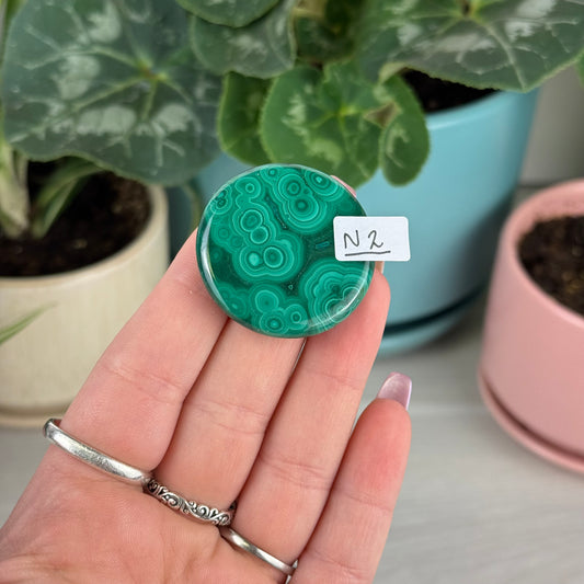 Malachite Cookie - N2