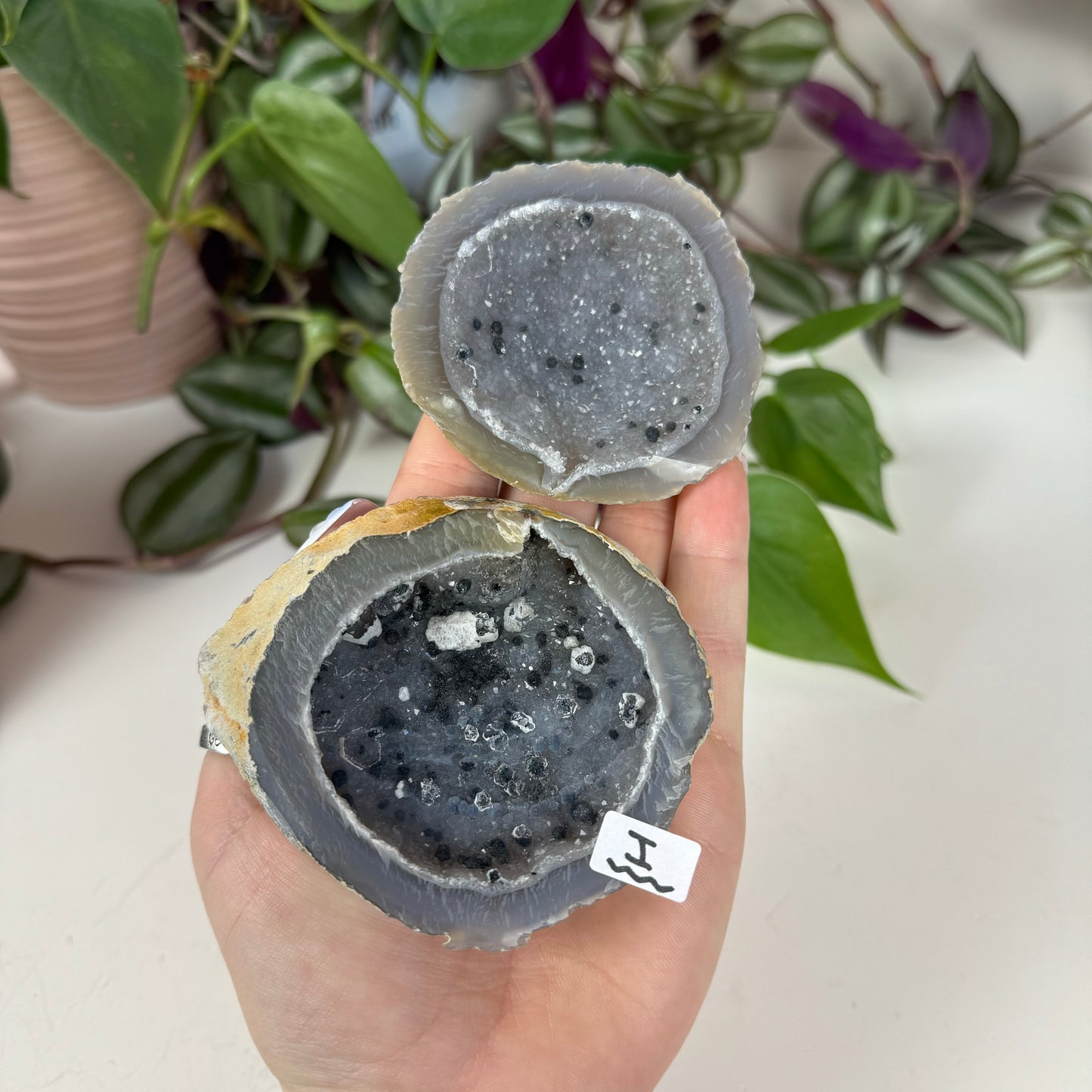 Druzy Agate Geode Pair