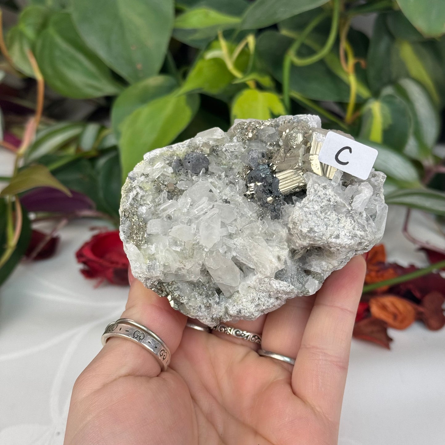 Pyrite In Quartz Specimen