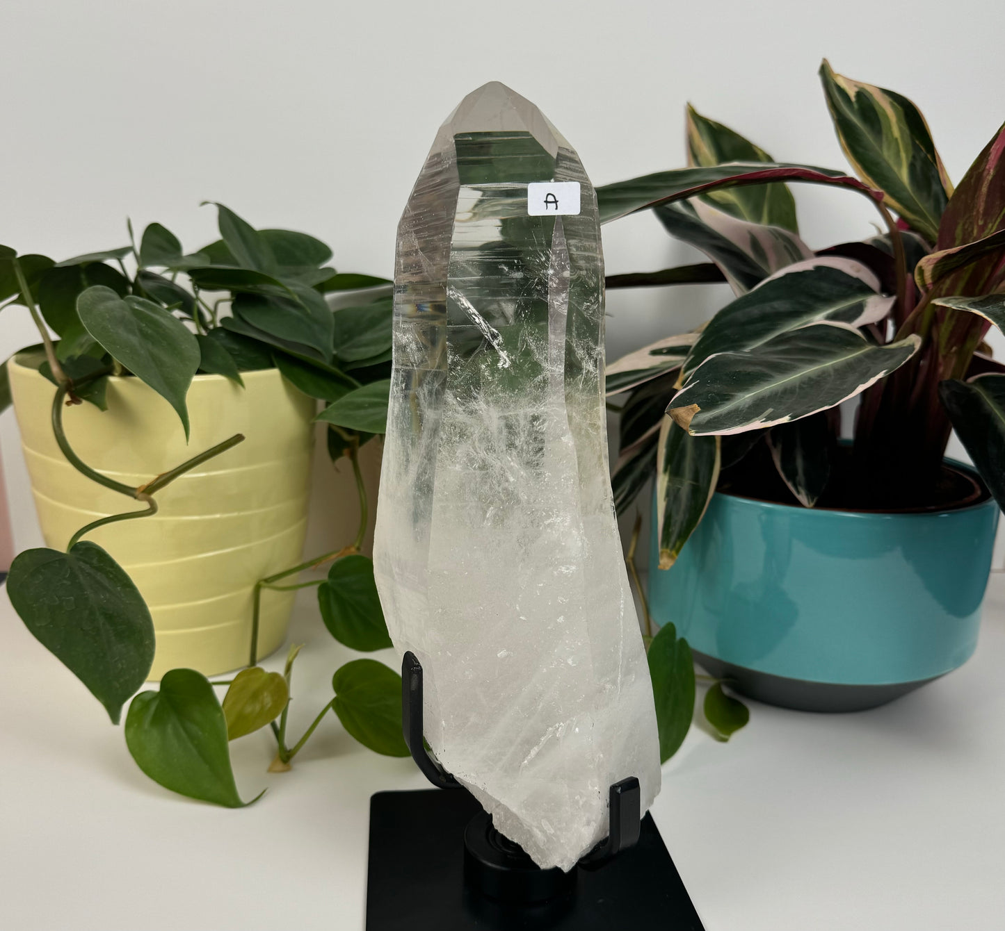 Incredible Lemurian Quartz (W/ Custom Stand) - A