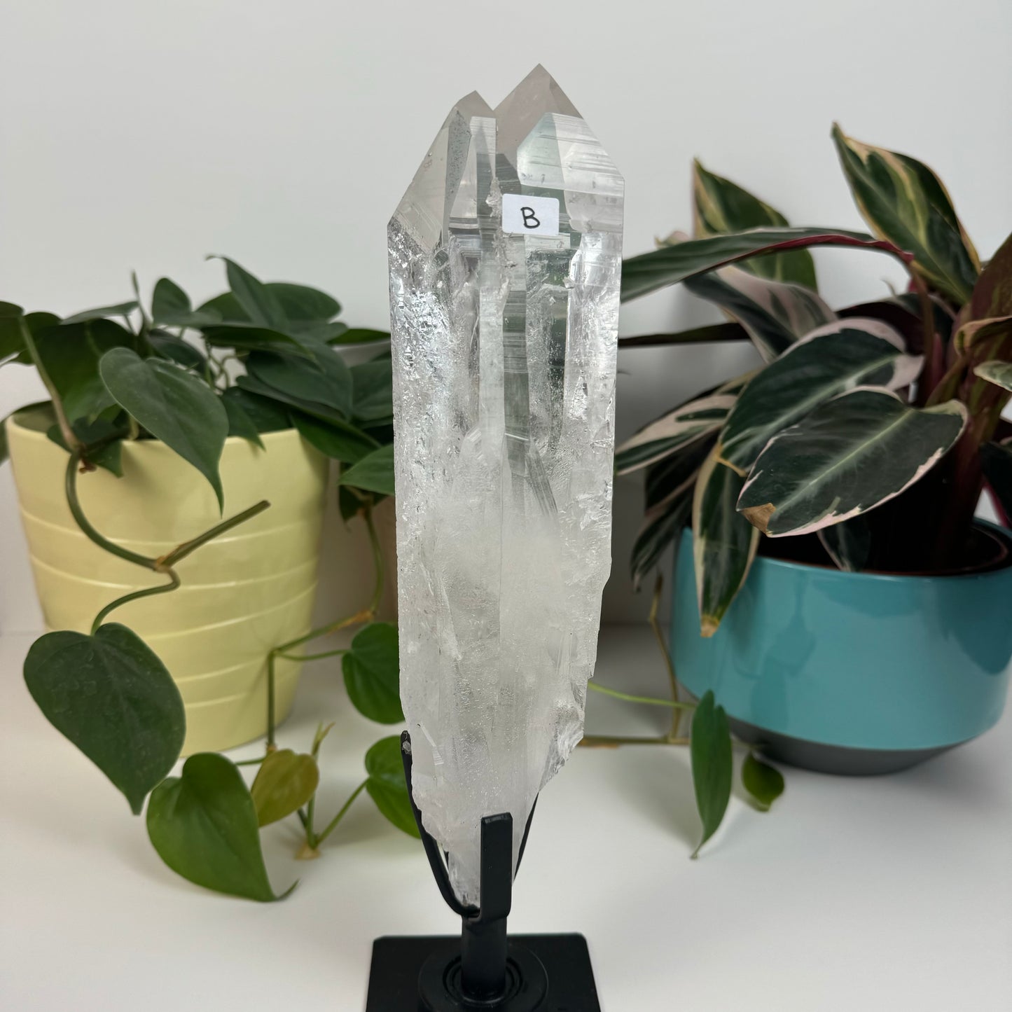 Incredible Lemurian Quartz (W/ Custom Stand) - B