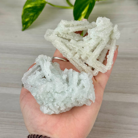 Frozen Key Lime Prehnite Specimen