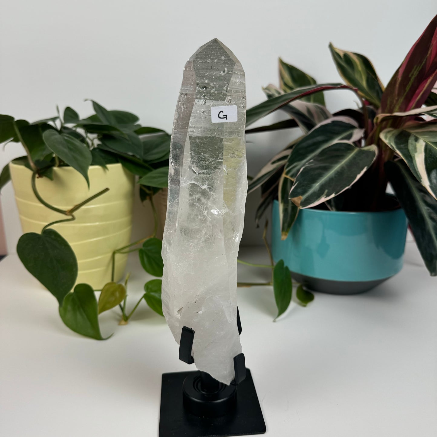 Incredible Lemurian Quartz (W/ Custom Stand) - G