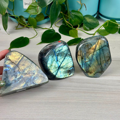 Green/Blue Labradorite Free Form