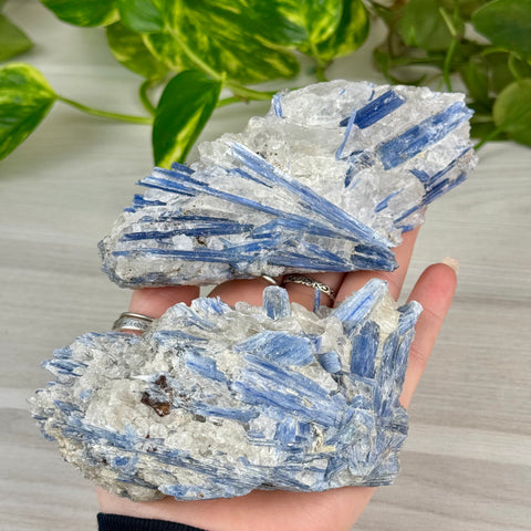Blue Kyanite Cluster