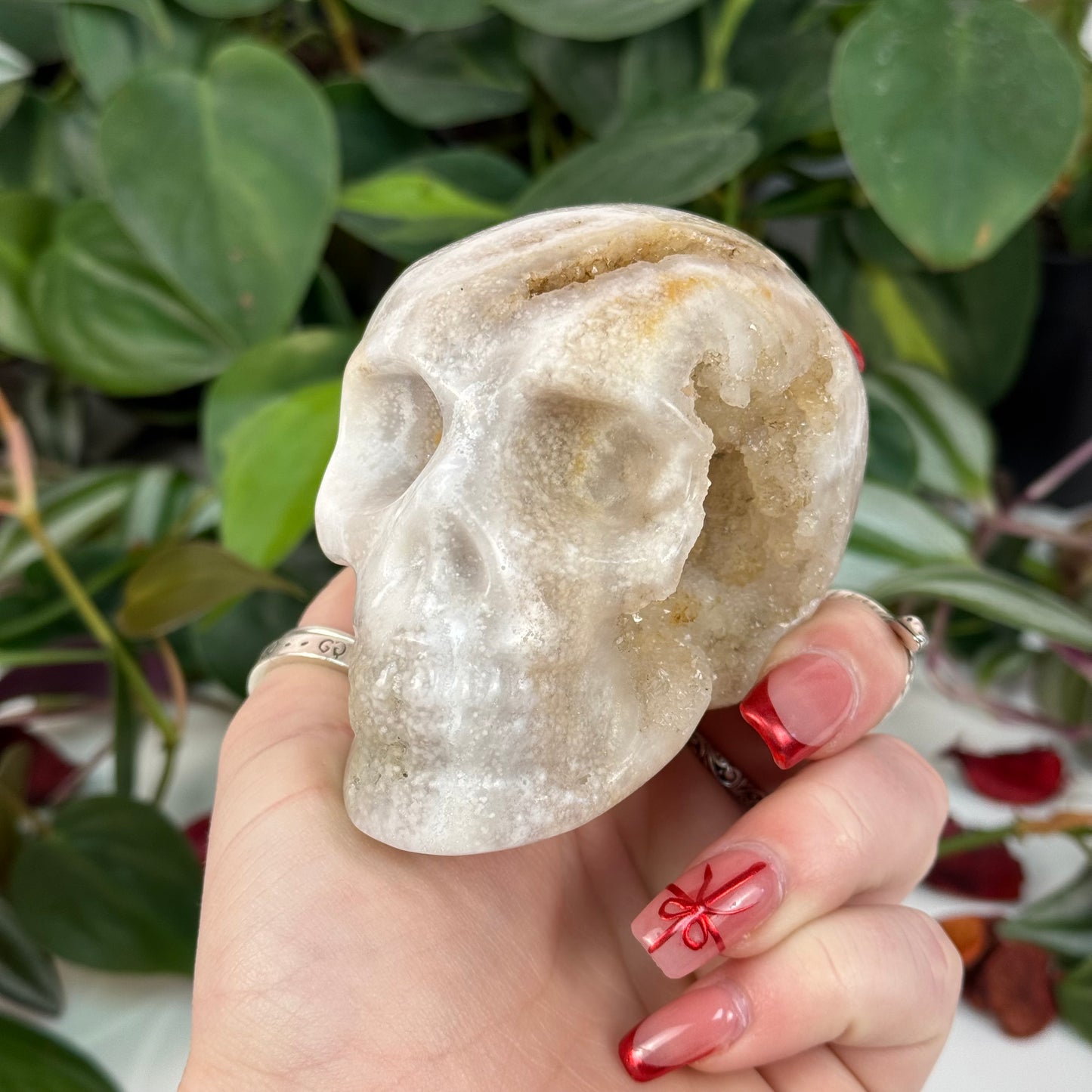 Flower Agate Skull