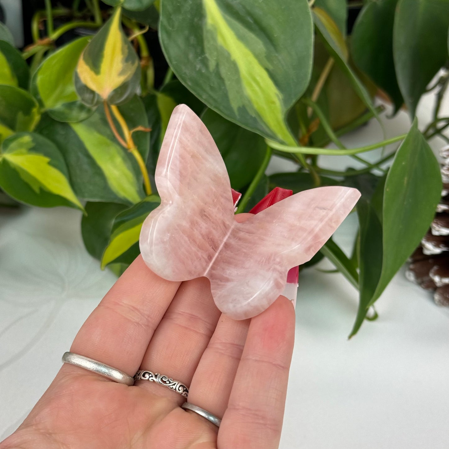 Rose Quartz 3D Butterfly