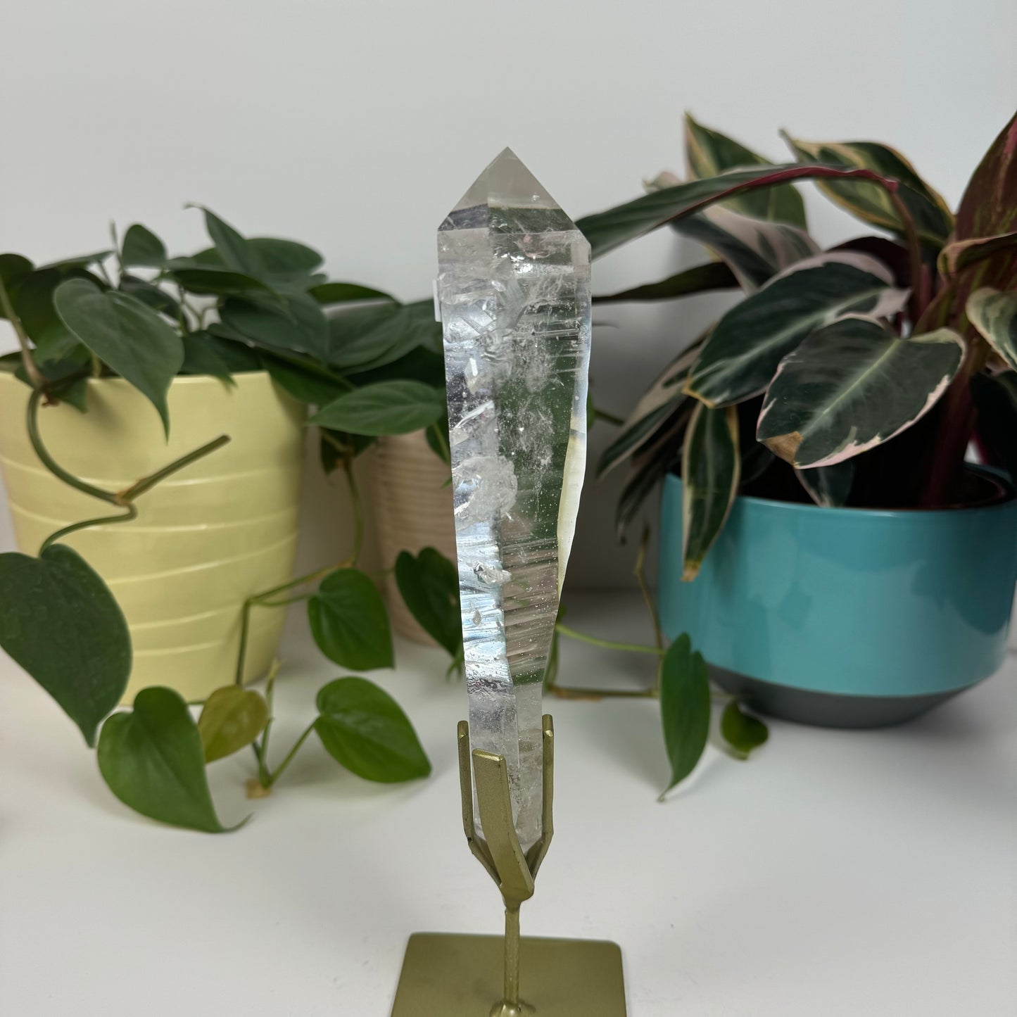 Incredible Lemurian Quartz (W/ Custom Stand) - W