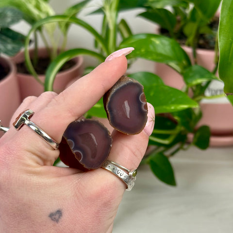 Mozambique Agate Pair