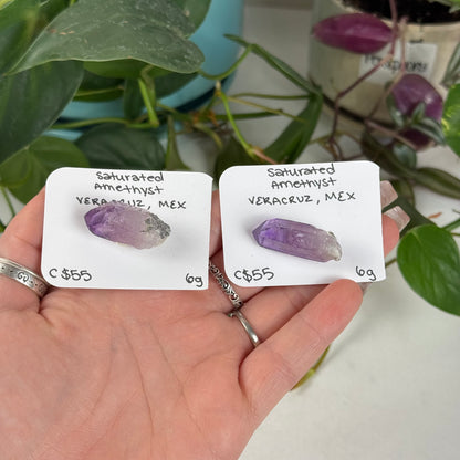 Saturated Veracruz Amethyst