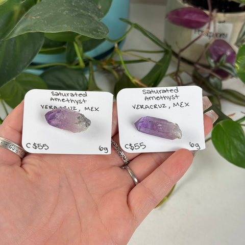 Saturated Veracruz Amethyst