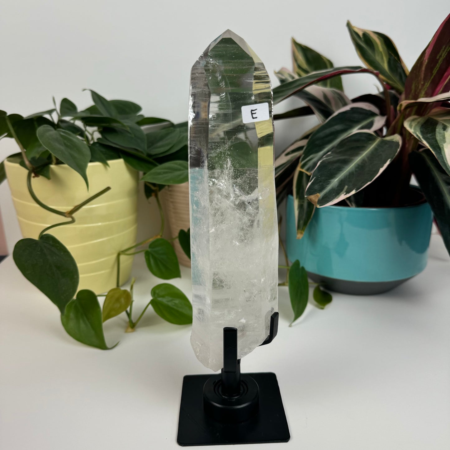 Incredible Lemurian Quartz (W/ Custom Stand) - E