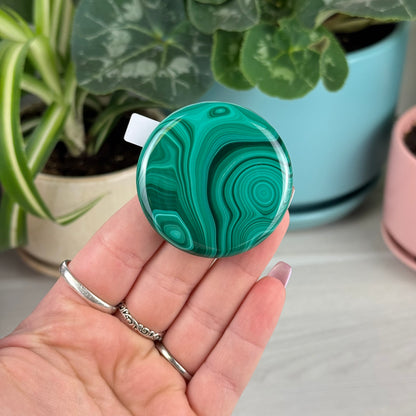 Malachite Cookie - L1