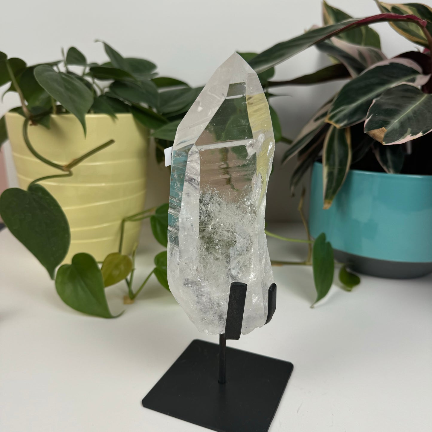 Incredible Lemurian Quartz (W/ Custom Stand) - N