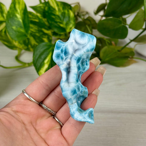 Larimar Free Form - C