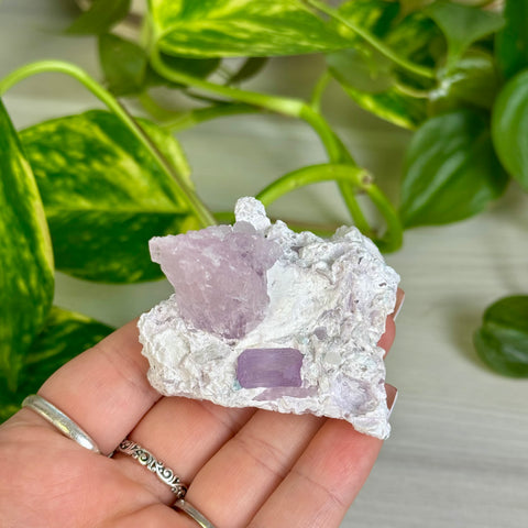Kunzite Specimen - C