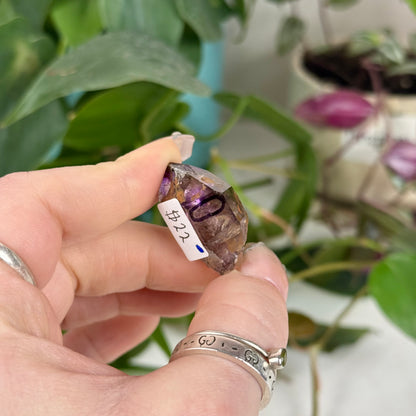 Enhydro Shangaan Amethyst