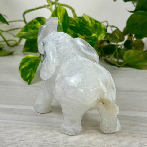 Statement Druzy Agate Elephant - Fiona