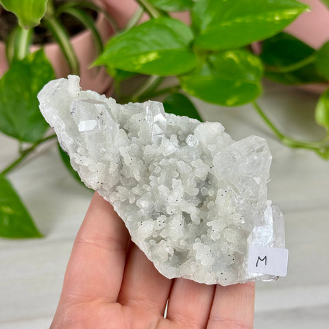 Sparkling White Chalcedony With Apophyllite