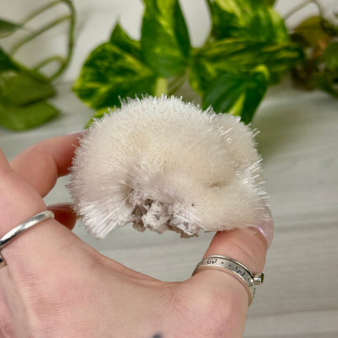 Mesolite Snowball Specimen