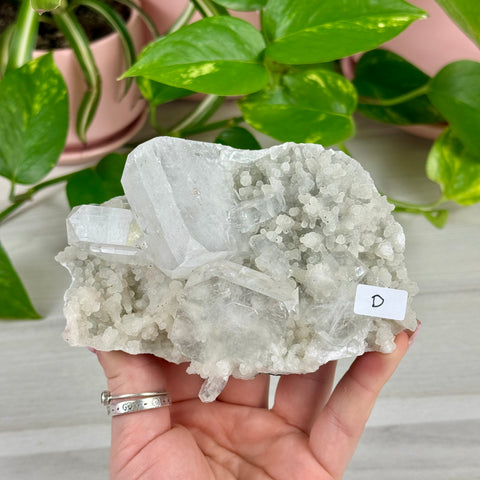 Sparkling White Chalcedony With Apophyllite