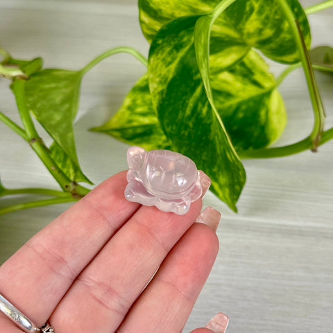 Mini Mozambique Rose Quartz Turtle