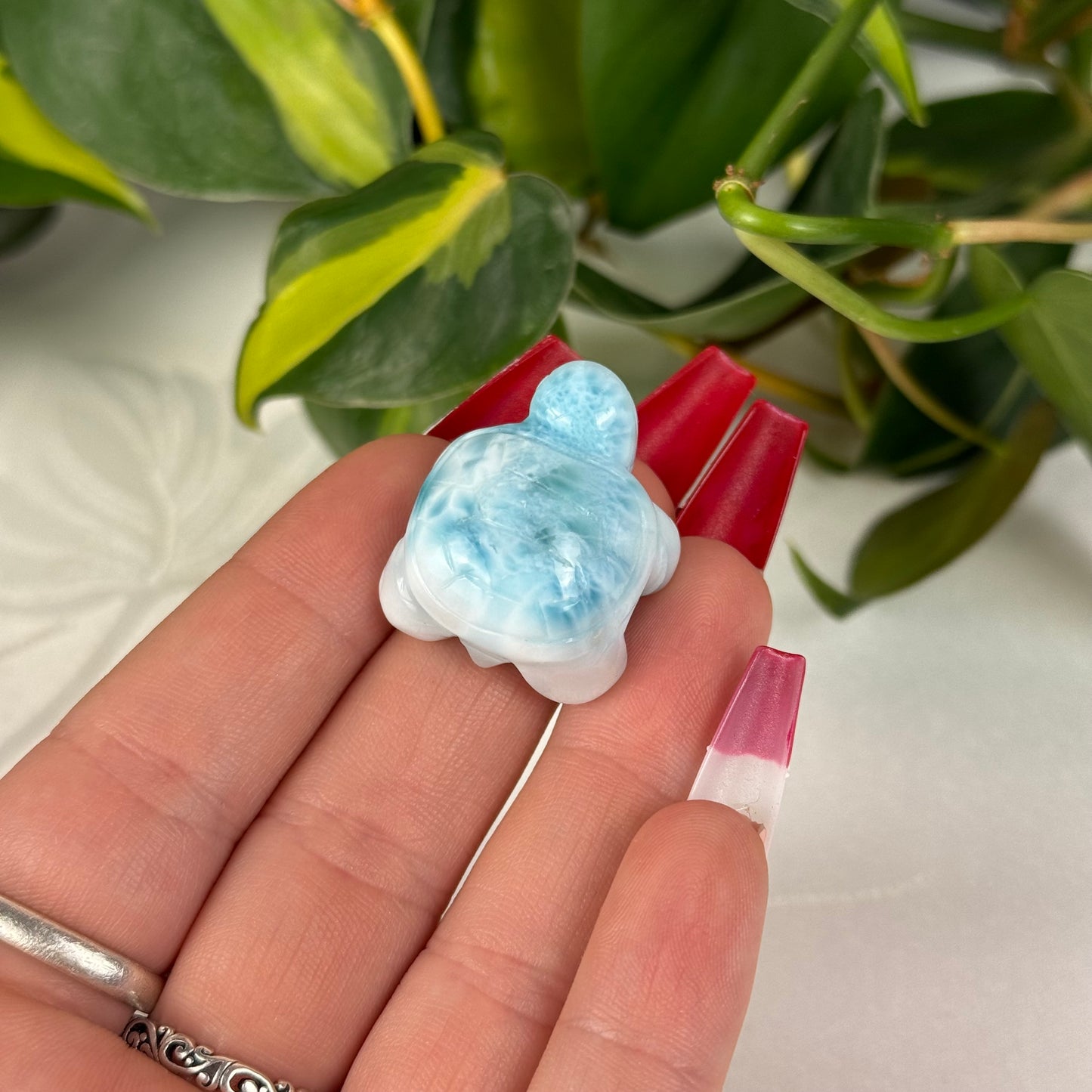 Mini Larimar Turtle