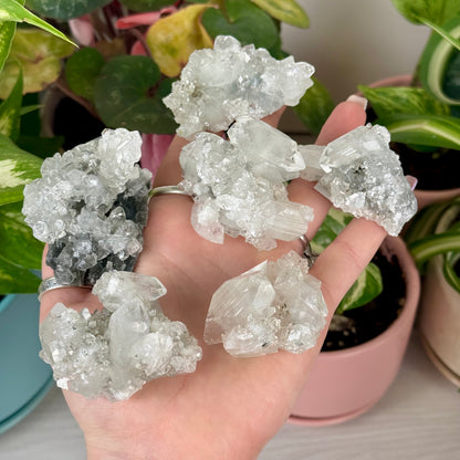 Diamond Apophyllite